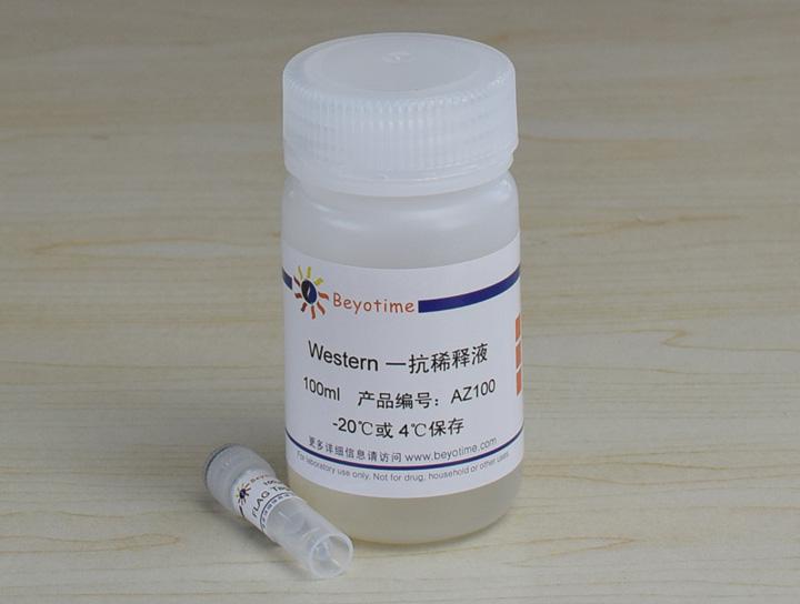 FLAG Tag Rabbit Polyclonal Antibody